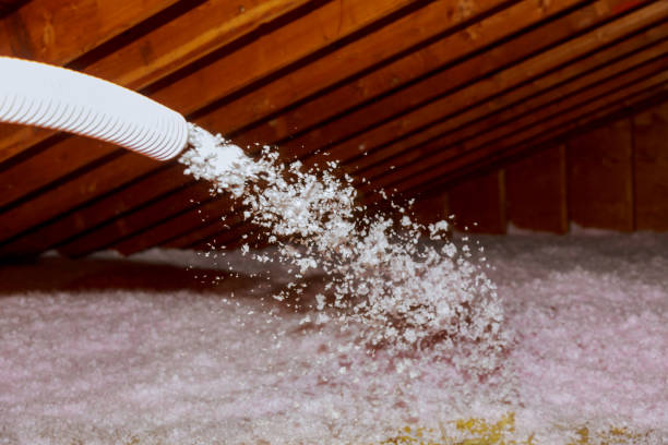 Best Spray Foam Insulation  in Wormleysburg, PA